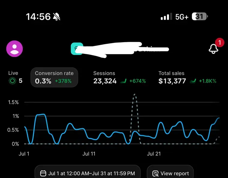 Ryan’s store dashboard: $13,377 in monthly sales and a $1,804 payout day